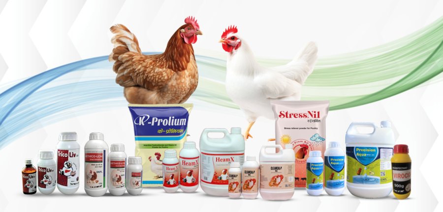 Our Product Portfolio